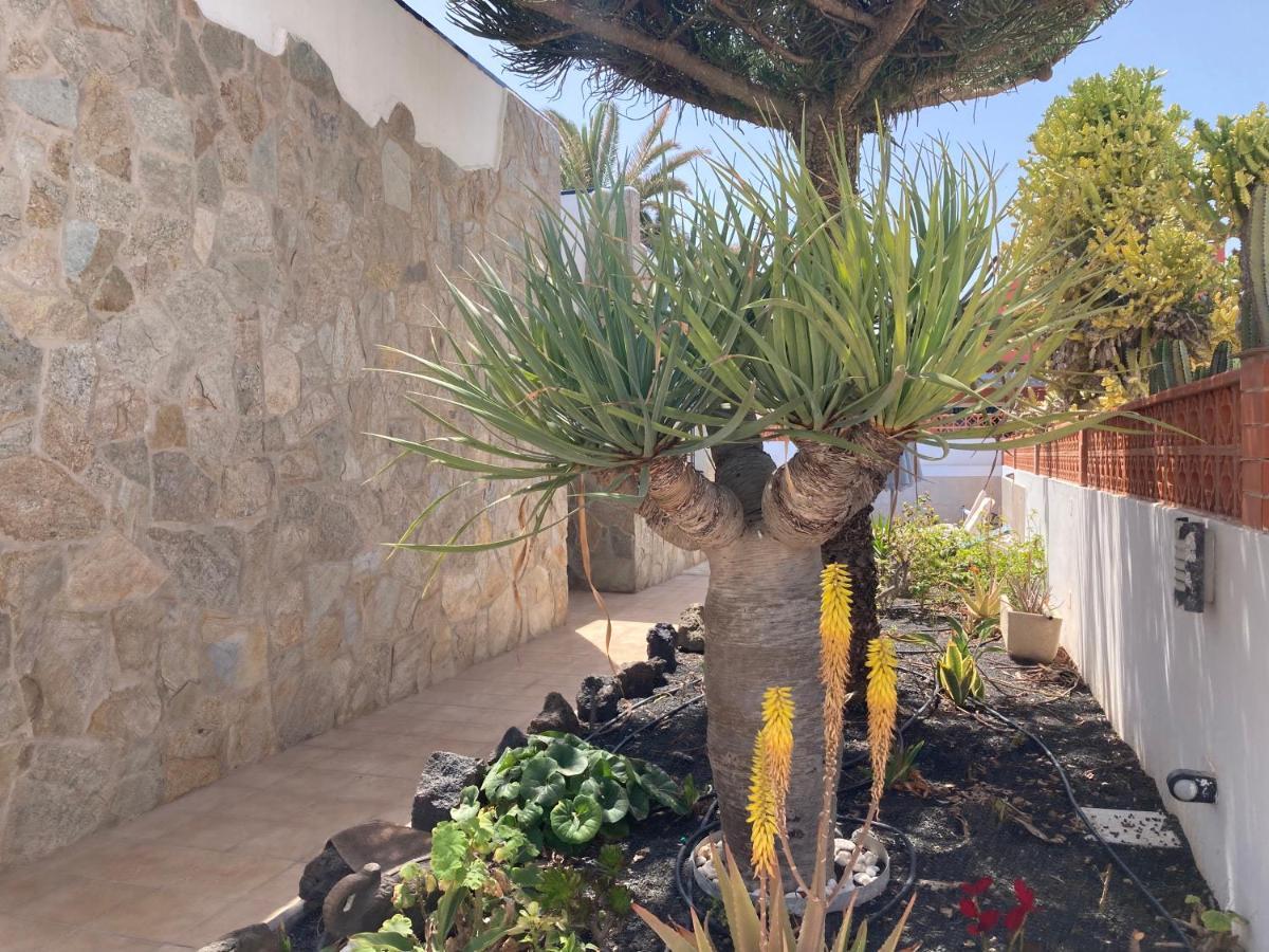קורלחו Beach House With The Heated Pool Next To Rocky Point מראה חיצוני תמונה
